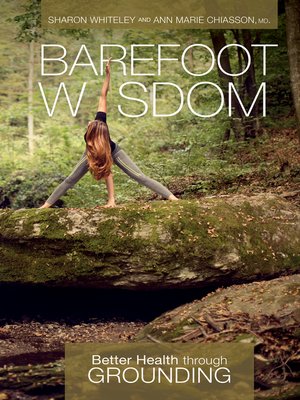cover image of Barefoot Wisdom